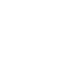 Illustration of an apple