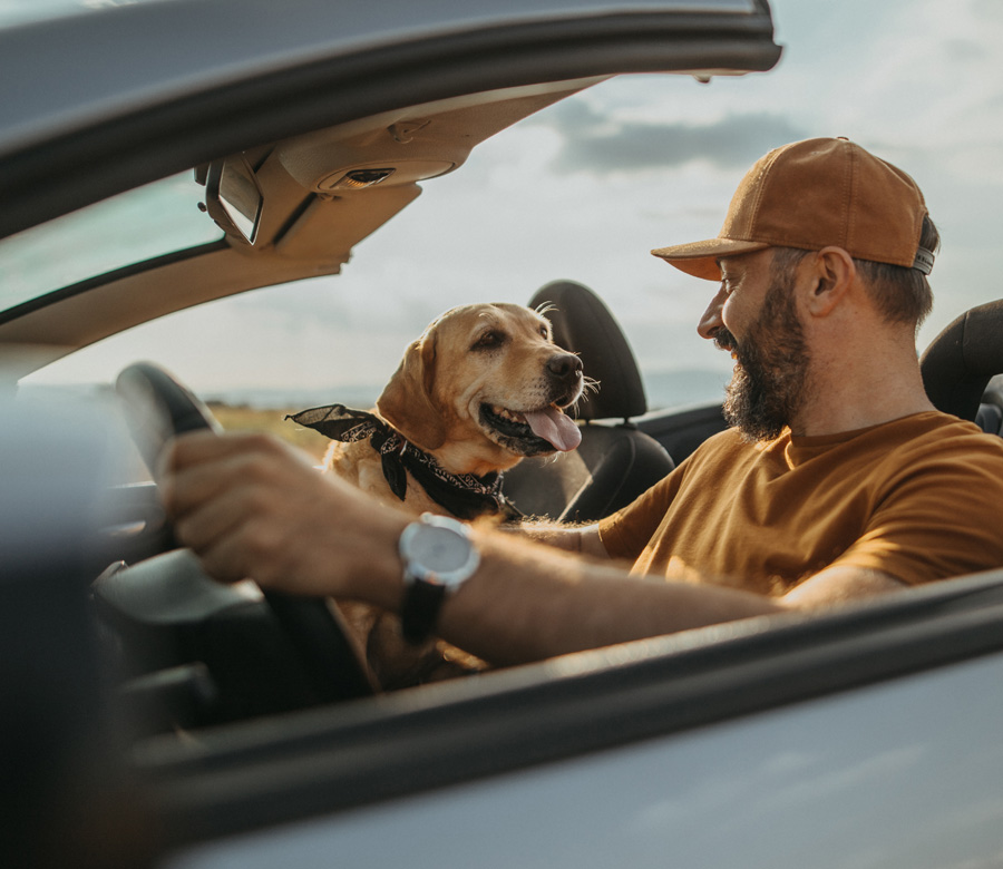 Image of man in a convertible with his dog