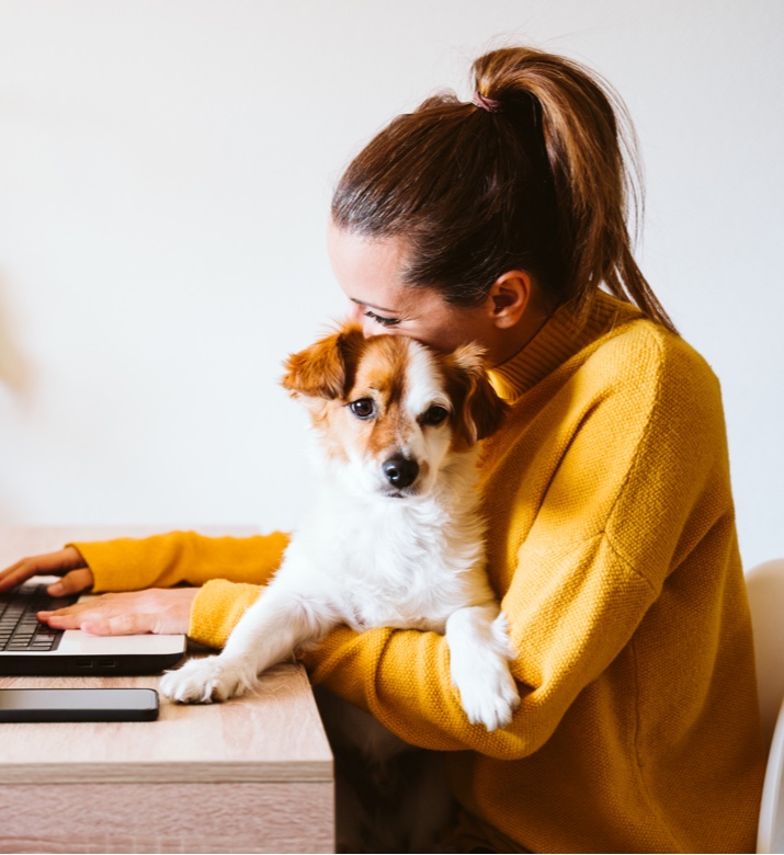 person with dog sitting in lap