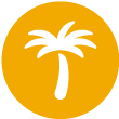 An icon of a palm tree