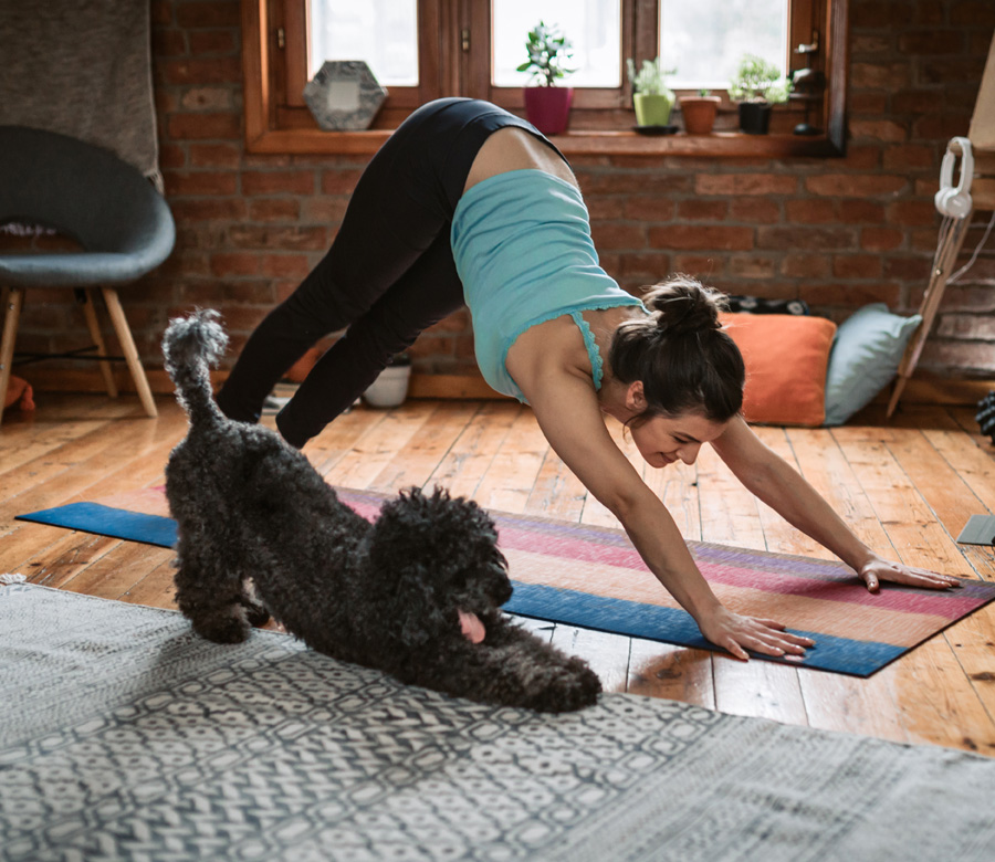 Woman does yoga with her dog