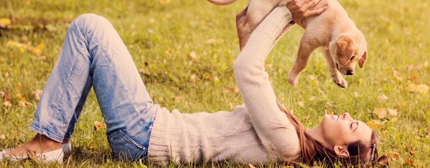 Image of a woman laying on her back in the grass, smiling at a Labrador puppy she's holding above her head